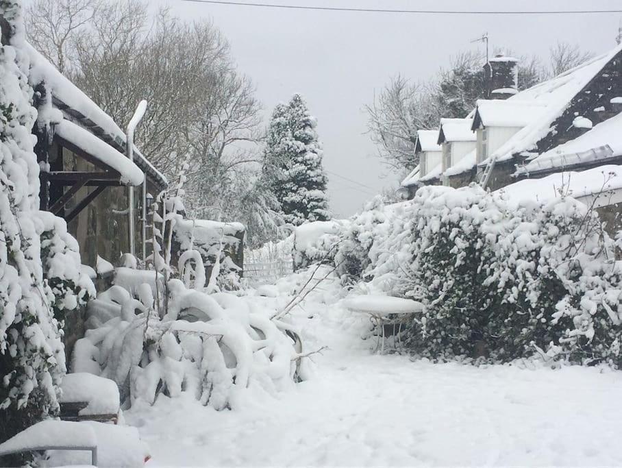 Y Cwtch - Panoramic Mountain Views Within Snowdonia'S National Park - 4X4 Recommended Villa Dolgellau Ngoại thất bức ảnh